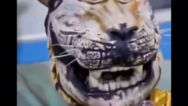 Turn into a tiger and make me better, okay?