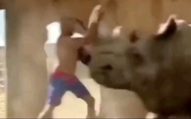 This is the state of Maozi after drinking vodka