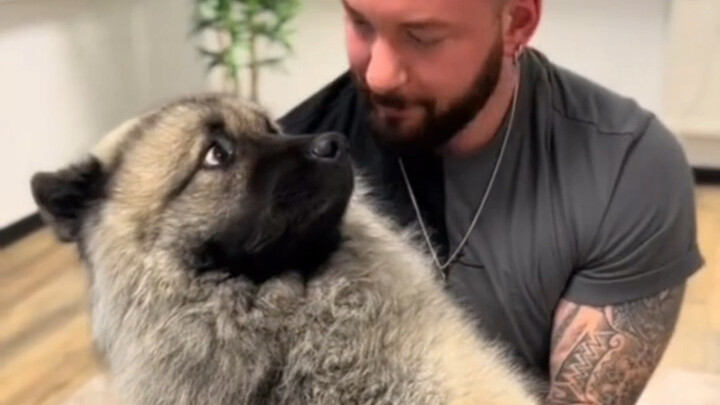 หมาต่างประเทศจัดกระดูก หน้าตาหมาโคตรฮาเลย!