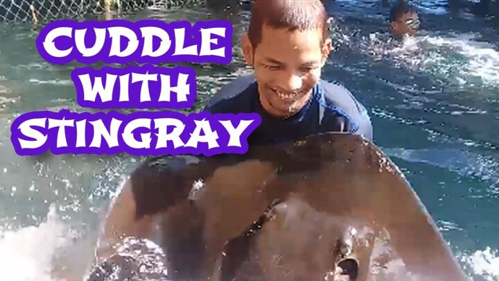 Cuddle With Stingray