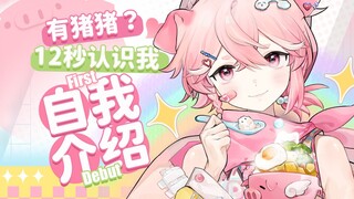 【自我介绍】十二秒认识这只猪猪