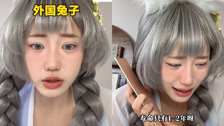 Chú thỏ từ nước ngoài đến trong Tây Du Ký chẳng quen thuộc gì cả, thực sự lo lắng quá, phải làm sao 