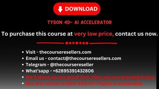 Tyson 4D- AI Accelerator