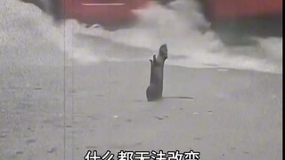 什么都无法改变…还是什么都无法改变!