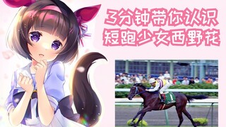 【3分钟赛马娘原型】短跑少女-西野花（附星云天空故事）【雾马Umado】——ニシノフラワー（Nishino Flower）