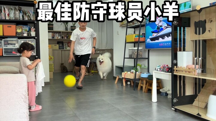 Playing ball with Little Sheep at home—5 minutes later, the ball broke...