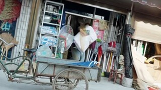 Reinkarnasi Sang Konglomerat eps 2