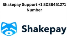 Shakepay Support +1 8038451271 Number