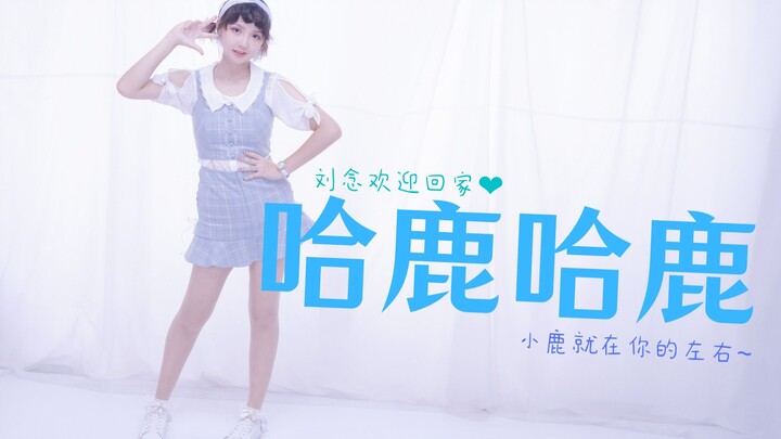 【刘念欢迎回家】哈鹿哈鹿💙糖入口绵绵着心头💙