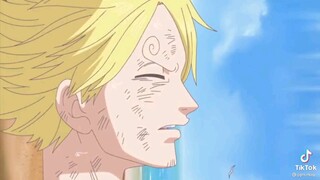 Sanji's adventure