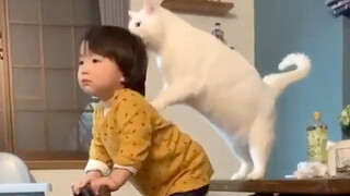 Để ngăn em bé trèo lên bàn, con mèo ở nhà đã lo lắng đến phát ốm...