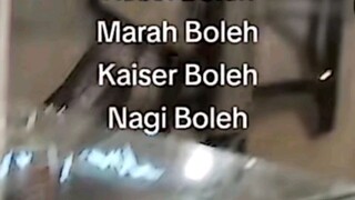 boleh boleh