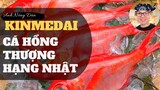 [Ẩm Thực Nhật Bản] Kinmeidai - Cá Hồng Nhật Bản - Sushi Thượng Hạng✔Anh Nông Dân