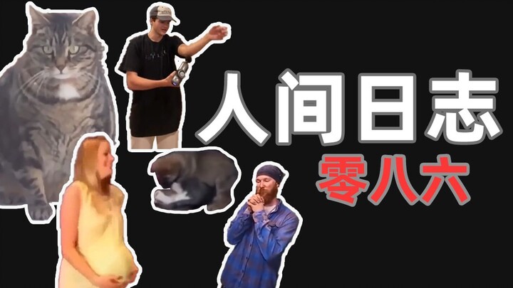 [บันทึกการสังเกตการณ์ของมนุษย์] 086 สุนัข สุนัข