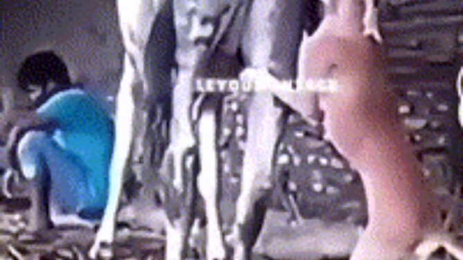 Produk dari Rockstar, pasti berkualitas tinggi!