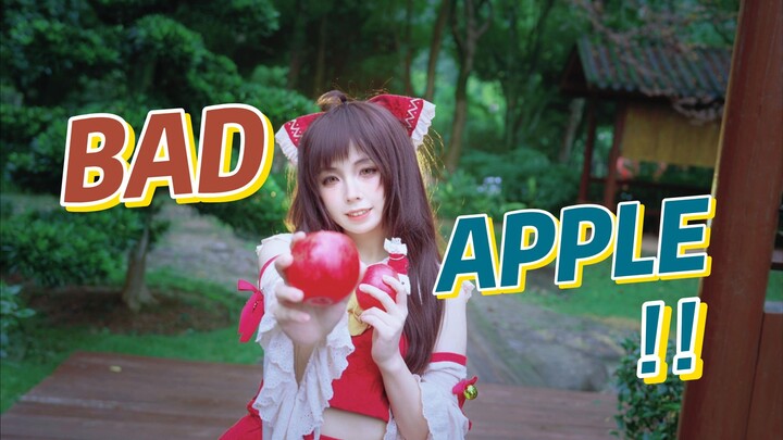 Bad Apple!! [Original Choreography] [66]