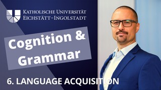 Construction Grammar: 6. Language acquisition