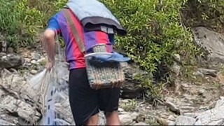 cast net fishing in Nepal | himalayan trout fishing | asala fishing |