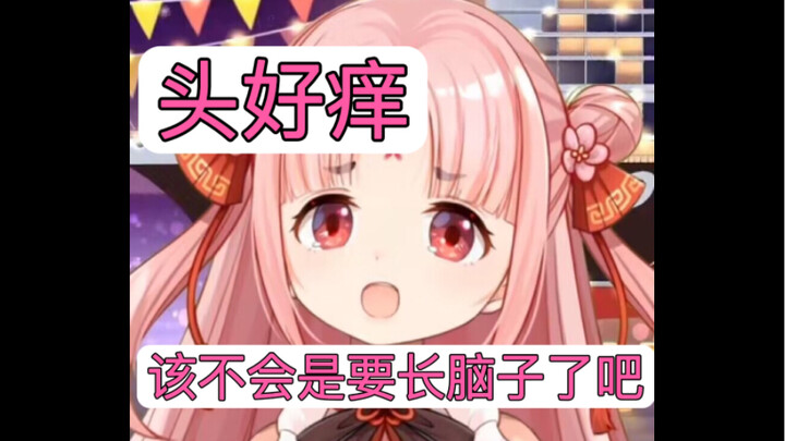 【扇宝】继小脑与脑干之后，宝的大脑终于也缺失了