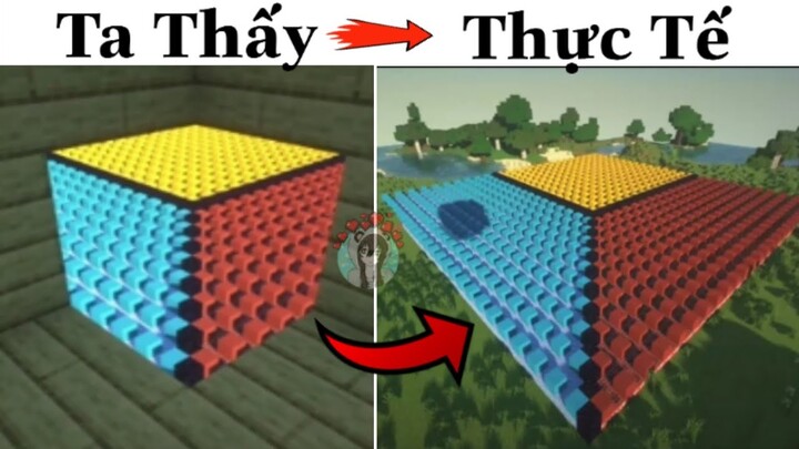 #113 Tik Tok Minecraft - Ta Thấy Và Thực Tế Khác Nhau Xa Nhau Như Thế Nào ???