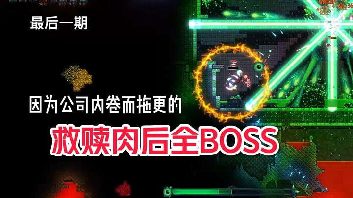 Watch it in one go: Full BOSS run after redeeming the meat – Terraria [Redemption]