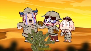 【Tang Tang】Teddy Bear Cactus with Full Defense