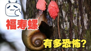 福寿螺有多恐怖？体内有6000多条寄生虫，中国吃货都拿它没办法
