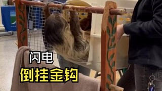Those unexpected animal videos!