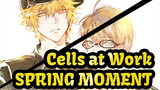 [Cells at Work!/Animatic] Neutrophil&Erythrocyte - SPRING MOMENT