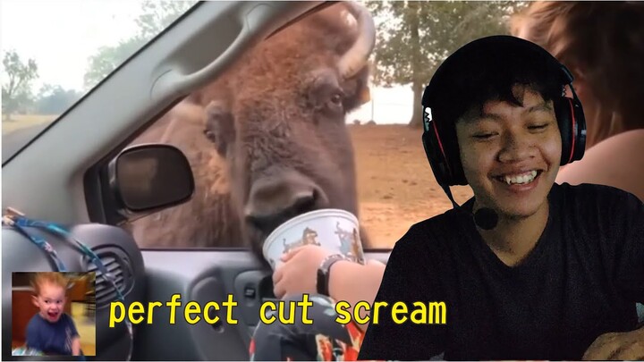 TERIAK PERFECT CUT - meme