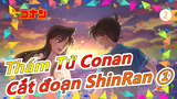 [Thám Tử Conan] Cắt đoạn ShinRan ①_2