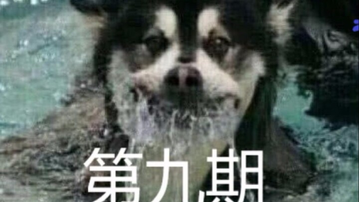 人间迷惑行为大赏(第九期)