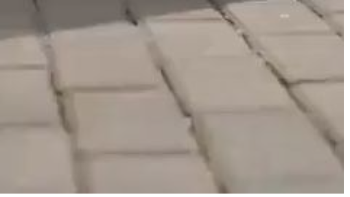 (2024) 纪总看清楚我是你保镖 [Mr. Ji, Look Clearly, I Am Your Bodyguard]