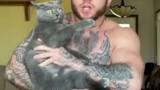 Kucing Biru Amerika yang Ketakutan oleh Nyanyian Bangsa Petarung