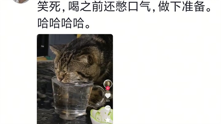 Mi: That doesn’t make sense—how can people drink water without choking to death?