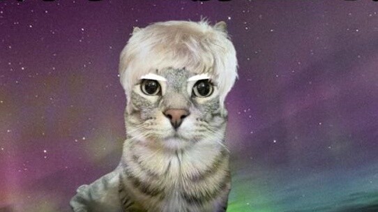 Cuộc chiến giữa tinh thần vàng và số phận