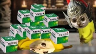 "Grain of Rice Transmission" Episodes 1-5