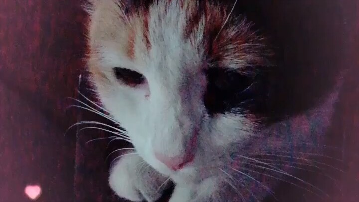 Kawaii