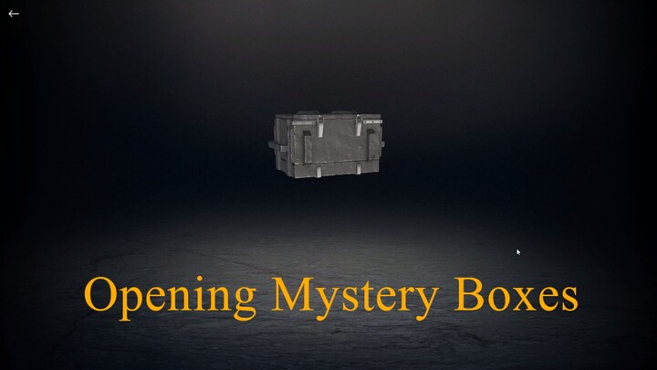 Opening 17 Mystery Boxes I