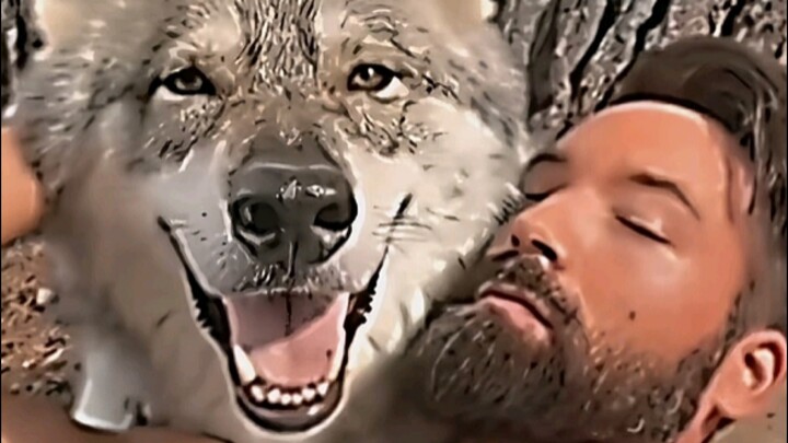 “Eternal Companion Wolves”