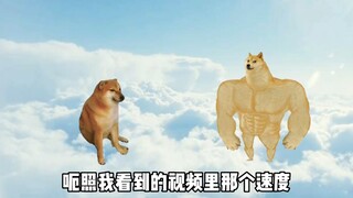 你的怨种朋友穿越到了修仙世界，你的选择关乎他的生死
