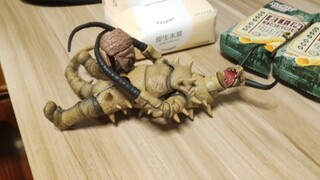 古墩shf展示