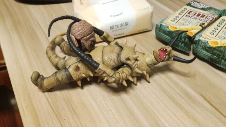 古墩shf展示