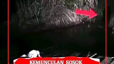 Jangan lihat kalo gak kuat!!