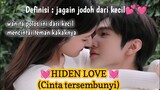CINTA TERSEMBUNYI (hidden love) || alur cerita drama chinese Hidden love (sub indo)