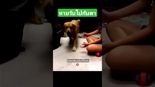 หายวับไปกับตา