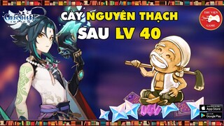 Genshin Impact || Cách CÀY NGUYÊN THẠCH sau cấp 40 của "DÂN CÀY" Genshin Impact || Thư Viện Game