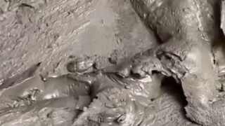 trở thành học sinh thầy lộc nào+)))