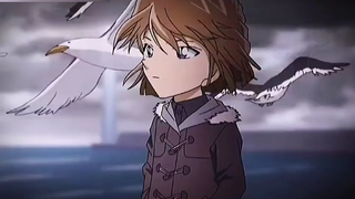 [Hoạt hình] Tình cảm của Haibara Ai