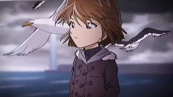 [MAD·AMV][Conan]Haibara Ai's soul-mate Conan